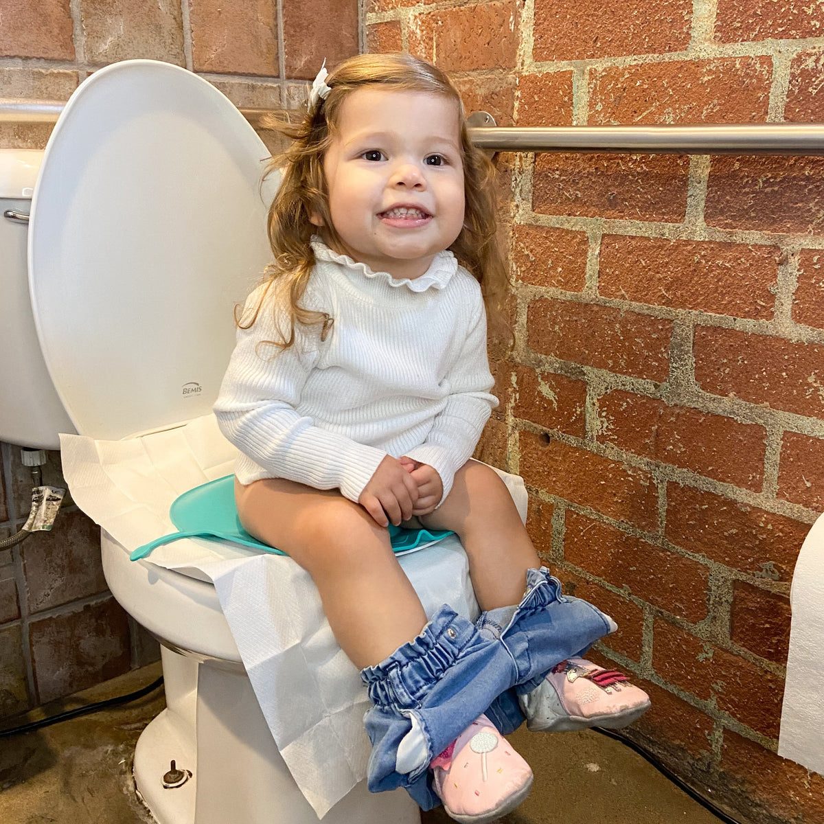 On the go potty hot sale seat