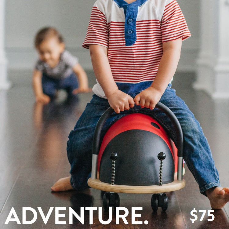 Prince Lionheart Gift Card