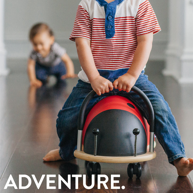 Prince Lionheart Gift Card